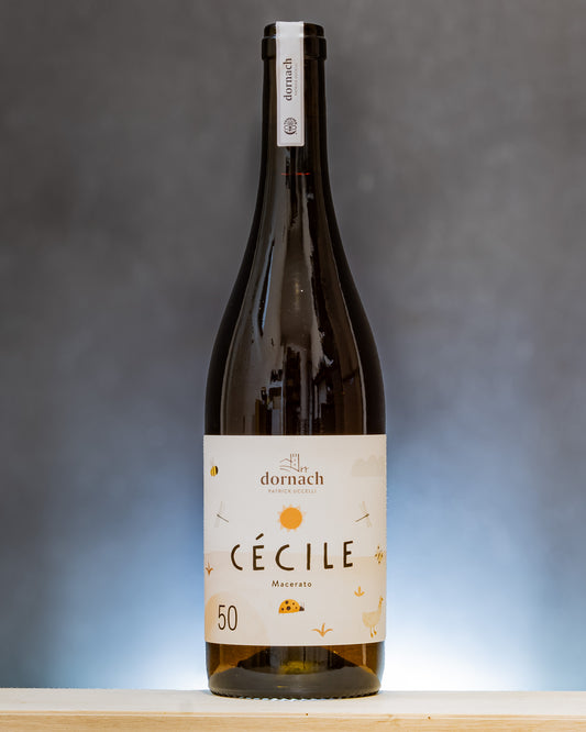 Ansitz Dornach Patrick Uccelli Souvignier Gris PIWI Macerato Orange Cecile Vino Alto Adige Italia