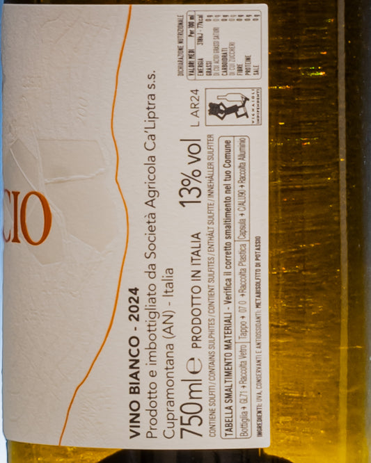 Ca Liptra Arancio Vino Macerato Orange 2024 Malvasia Trebbiano Sangiovese Marche Italia Retro Etichetta