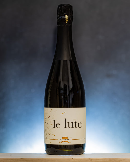 Ca Liptra Metodo Classico Spumante Dosaggio Zero 2021 Le Lute Verdicchio Marche Vino Italia