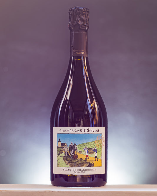 Chavost Champagne Extra Brut Blanc de Chardonnay Vino Francia