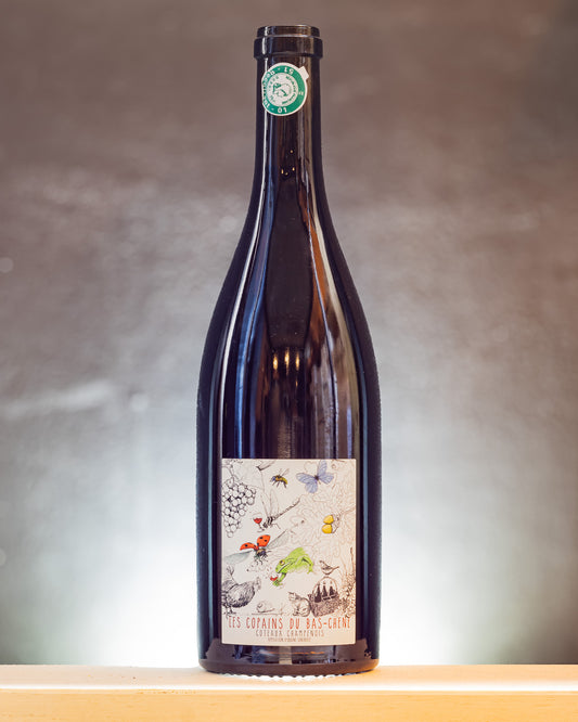 Copains Bas Chene Coteaux Champenois Aurelien Florian Laval Meunier Pinot Noir Nero 2019 Champagne Vino Rosso Francia