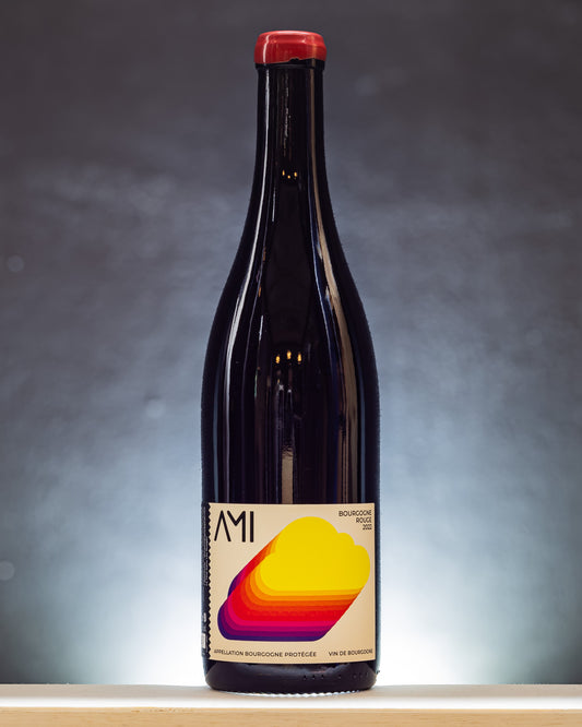 Domaine Ami Bourgogne Rouge 2022 Pinot Nero Vino Rosso Borgogna Francia