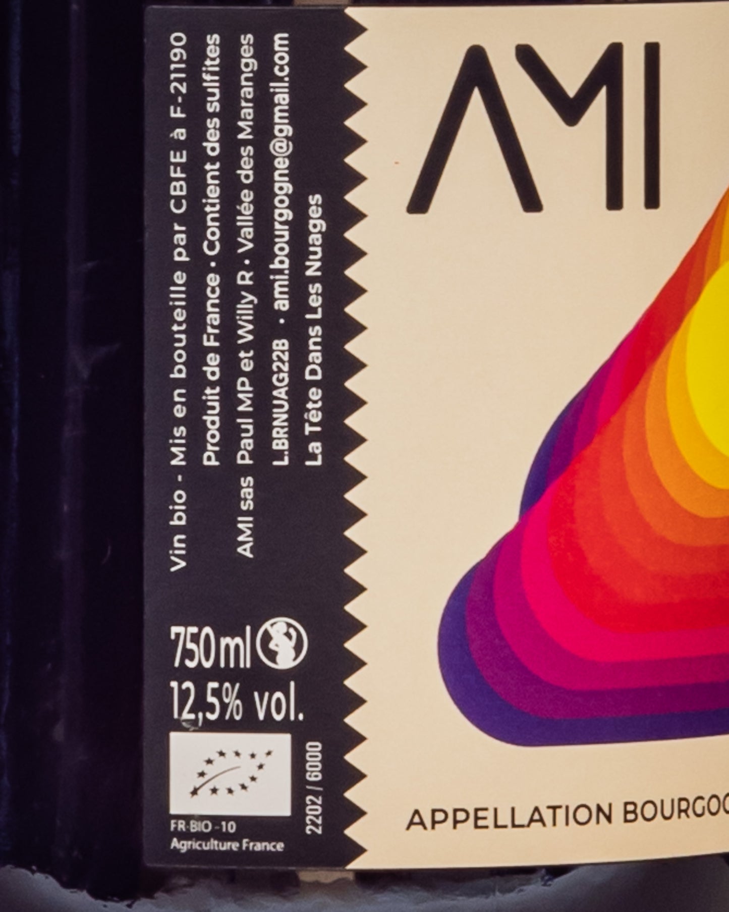 Domaine Ami Bourgogne Rouge 2022 Pinot Nero Vino Rosso Borgogna Francia Retro Etichetta