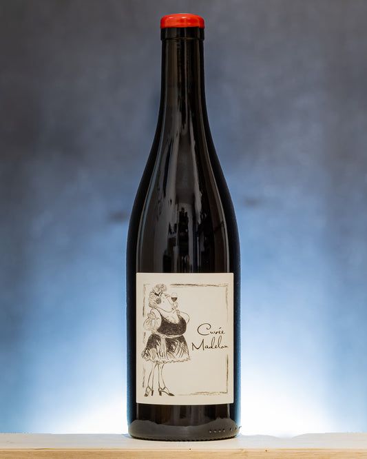 Domaine Anne Jean Francois Ganevat Cuvee Madelon 2020 Gamay Vino Rosso Jura Francia