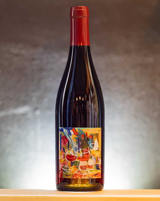 Domaine David Beaupere Beaujolais Village 2021 Gamay Vino Rosso Borgogna Francia