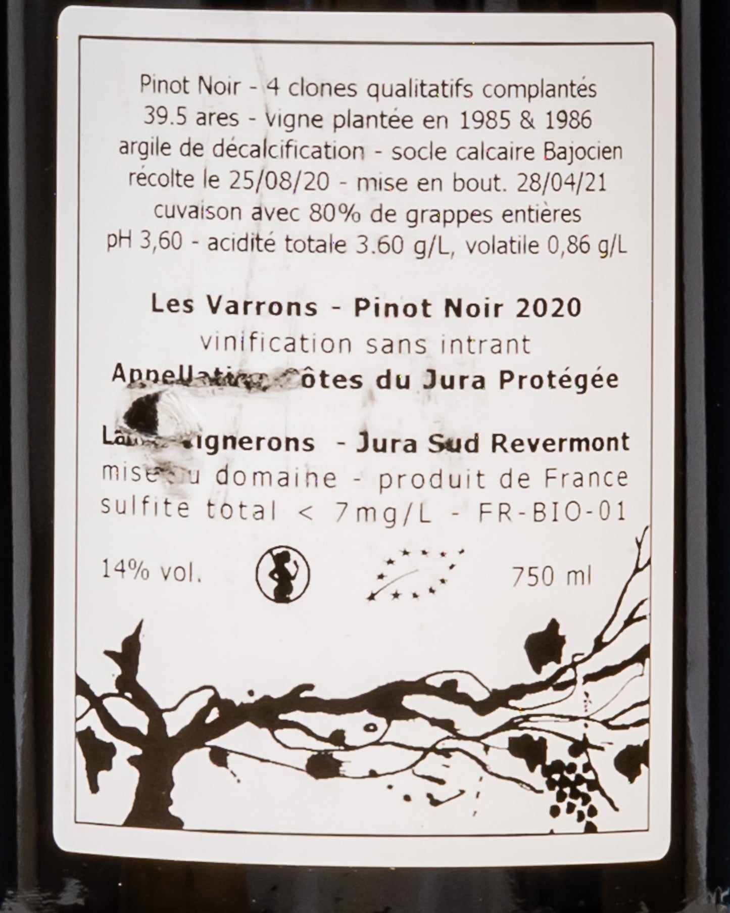 Domaine Labet Cote Jura Les Varrons Pinot Noir Nero 2020 Vino Rosso Francia Retro Etichetta