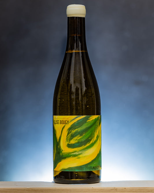 Elise Bougy Coteaux Champenois Blanc 2022 Chardonnay Le Mesnil sur Oger Vino Bianco Champagne Francia