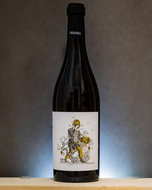 Fedora Rebula Ribolla 2020 Vino Orange Macerato Slovenia Vipava