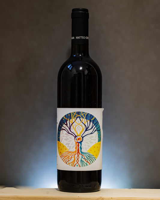 Matteo Correggia Apapa 2015 Nebbiolo Roero Langhe Piemonte Italia Vino Rosso