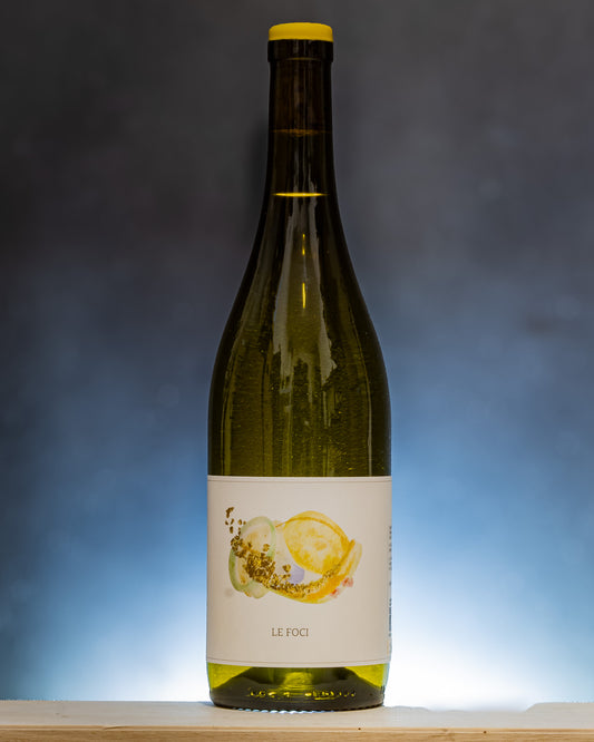 Montetino Le Foci 2024 Trebbiano Vino Bianco Abruzzo Italia