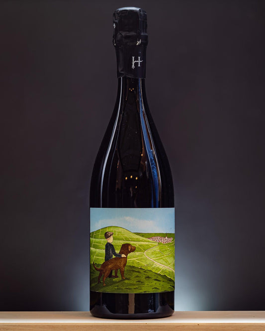 Pascal Romain Henin Champagne Brut Nature Le Gamin Du Terroir Chardonnay Valle Marne Vino Retro Etichetta