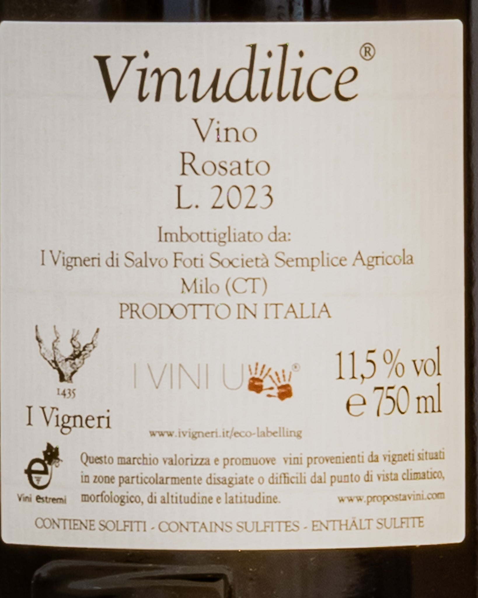 Vigneri Salvo Foti Vino Rosato Etna 2023 Vinudilice Grenache Minnella Grecanico Sicilia Italia Retro Etichetta