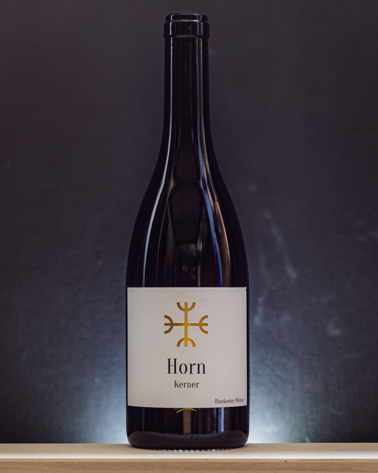 kerner horn hauksson aargau svizzera