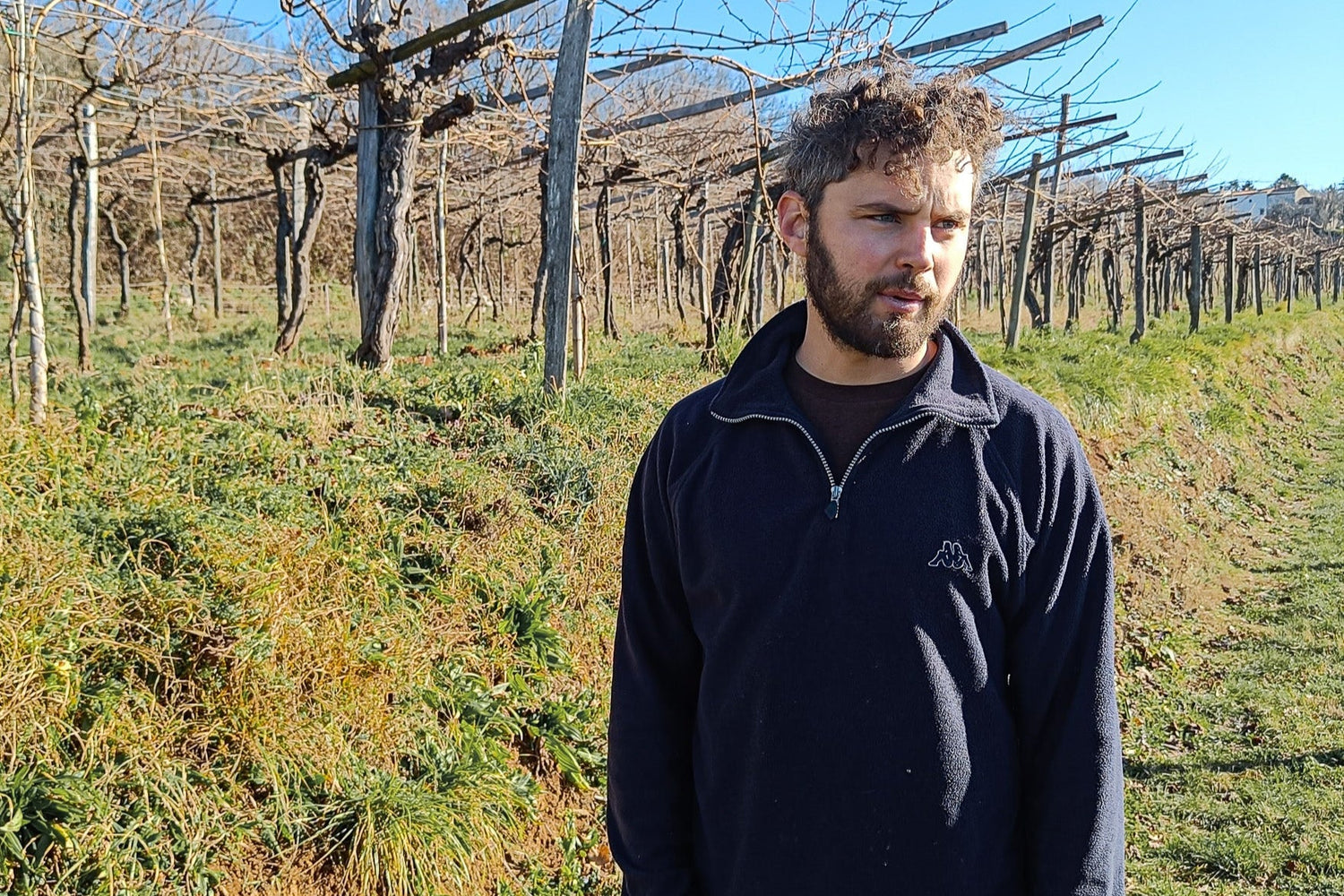 Peter Radovic per Monopole.it