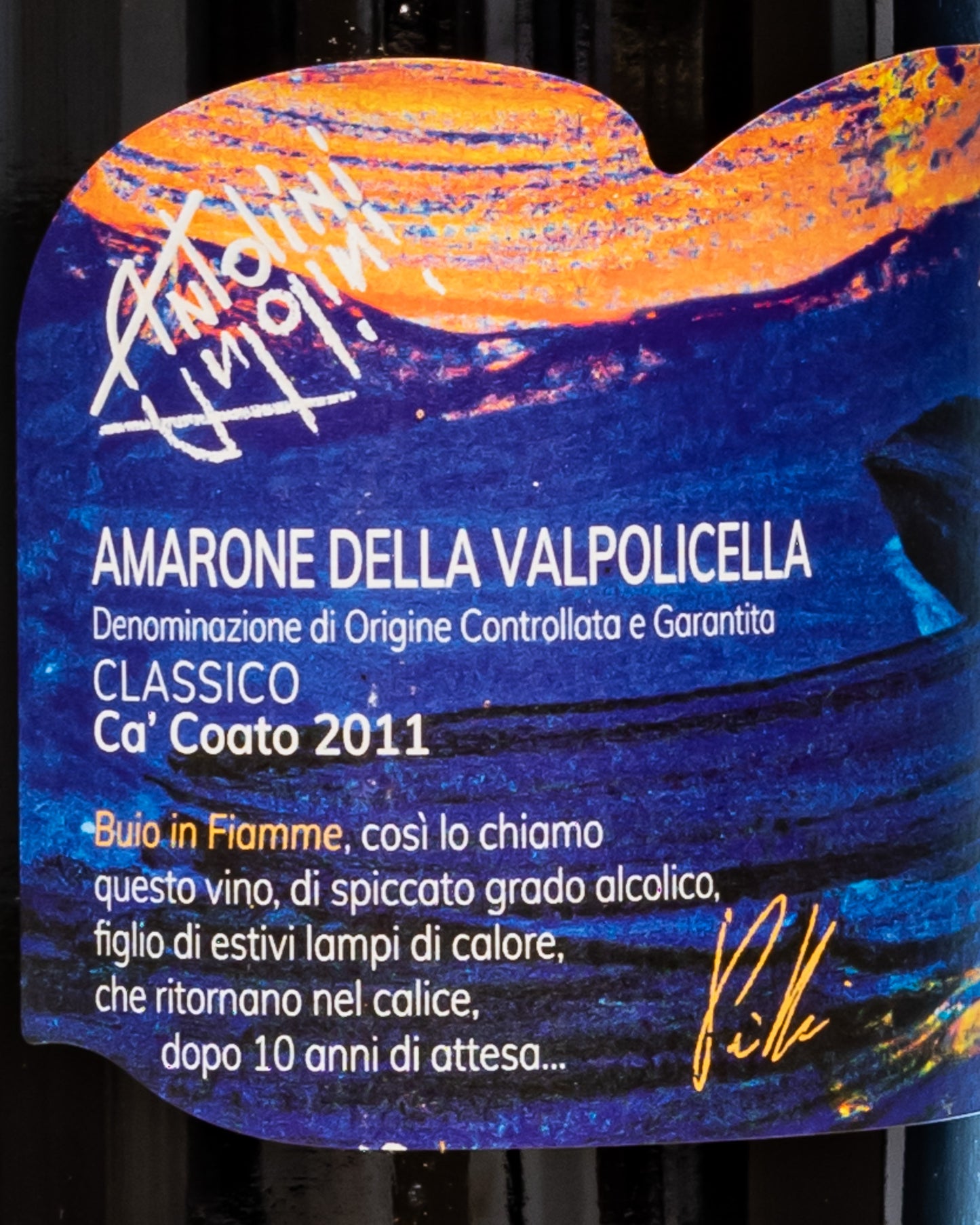 Antolini Amarone Valpolicella Ca Coato 2011 Corvina Corvinone Molinara Vino Rosso Veneto Italia Retro Etichetta 1