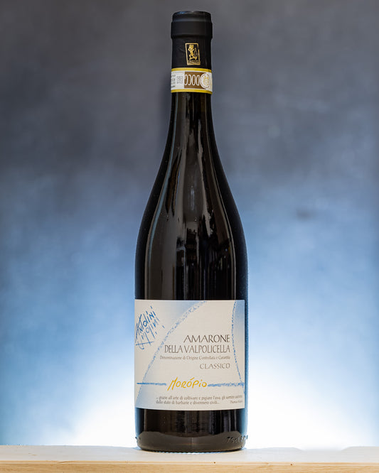 Antolini Amarone della Valpolicella 2021 Moròpio Corvina Corvinone Rondinella Valpolicella Veneto Vino Rosso Italia