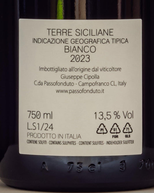 Giuseppe Cipolla Solfare Catarratto Grillo 2023 Sicilia Italia Vino Bianco Retro Etichetta