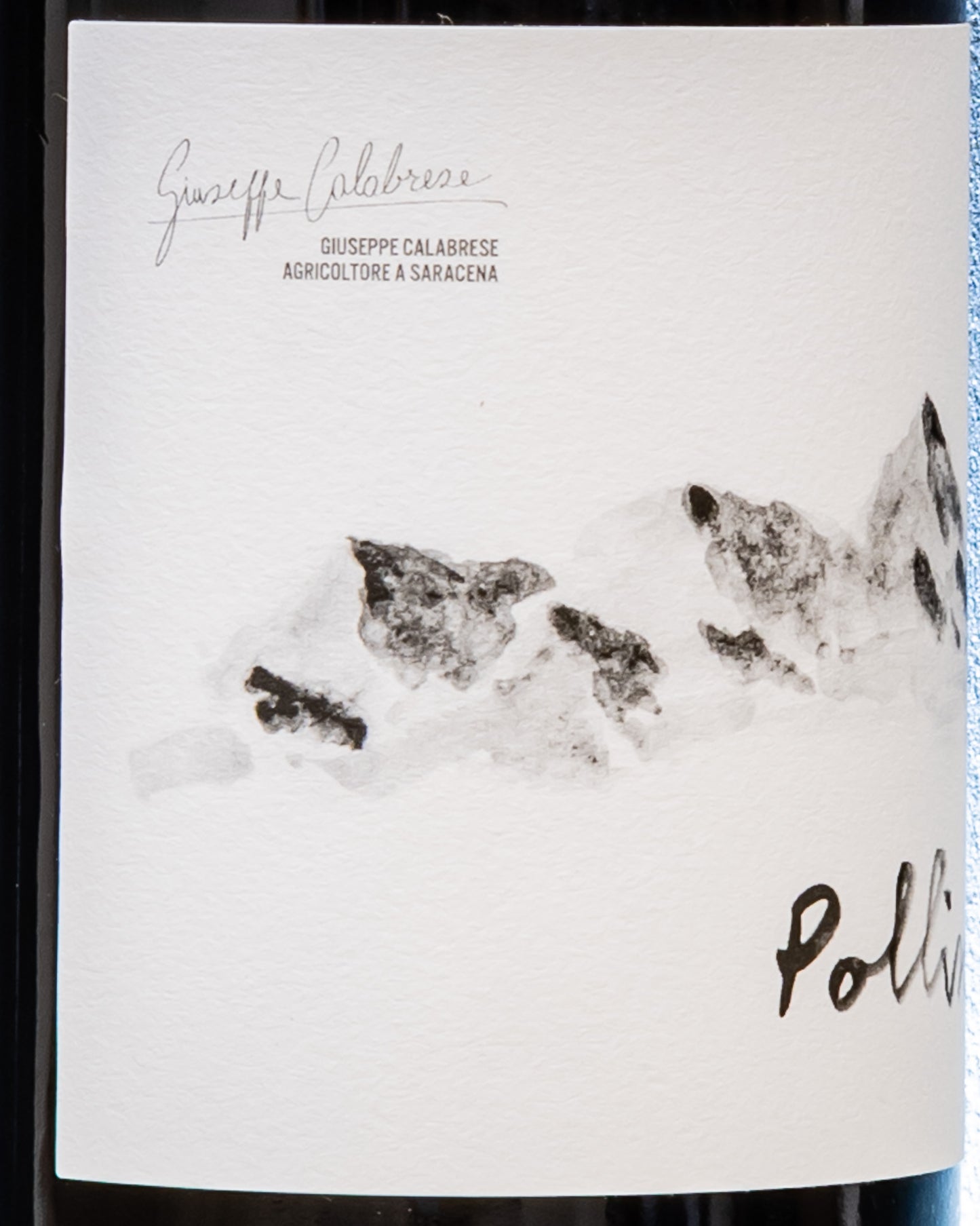 Pollino Terre Cosenza 2021 Aglianico Calabria Vino Rosso Italia Retro Etichetta 1