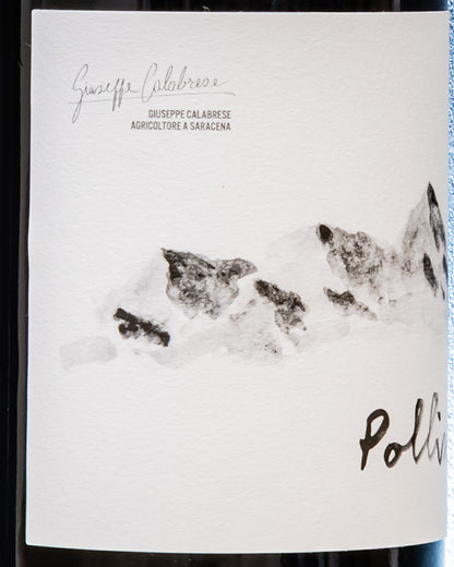 Pollino Terre Cosenza 2021 Aglianico Calabria Vino Rosso Italia Retro Etichetta 1