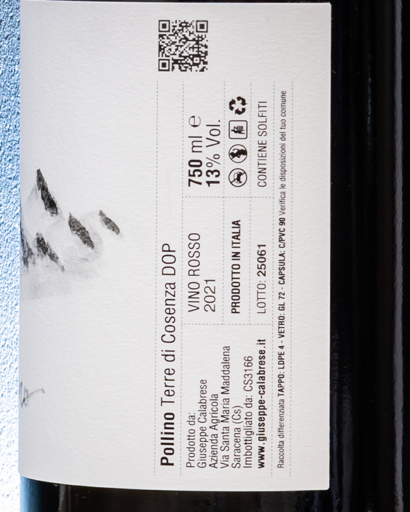 Pollino Terre Cosenza 2021 Aglianico Calabria Vino Rosso Italia Retro Etichetta 2