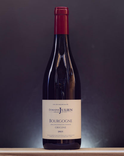 domaine julien borgogna origine pinot nero francia 